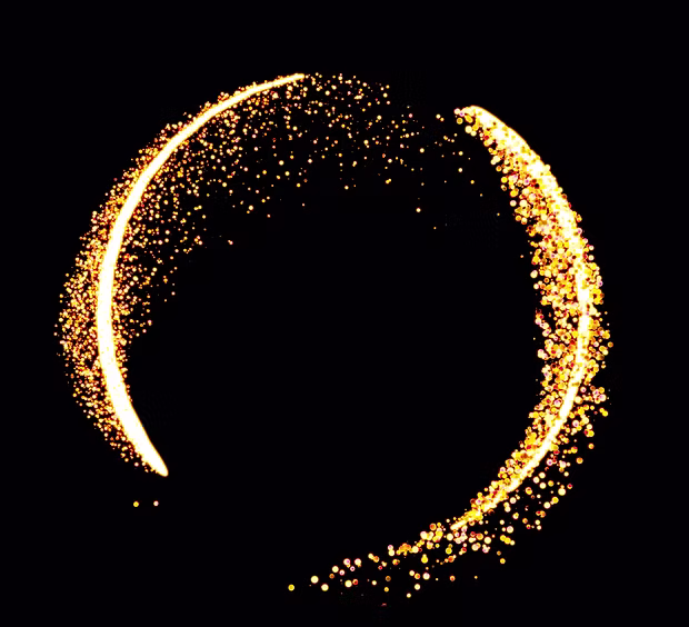 Feld lesen lernen - Einzelbegleitung